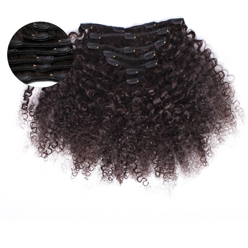 Afro Kinky Curl Clip Ins